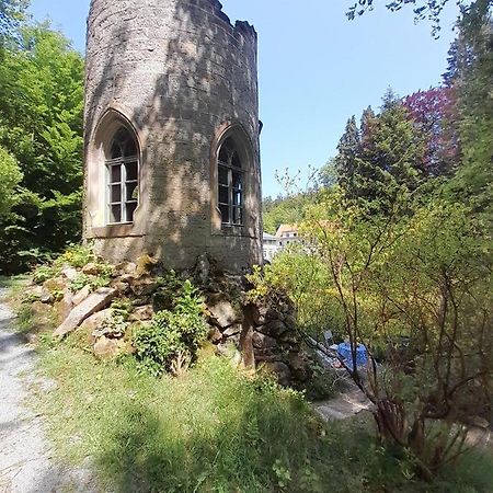 Rapunzel Trifft Dornroeschen Villa Rosenthal-Bielatal Exteriör bild