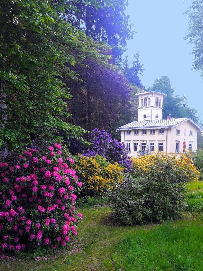 Rapunzel Trifft Dornroeschen Villa Rosenthal-Bielatal Exteriör bild
