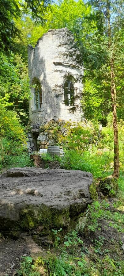 Rapunzel Trifft Dornroeschen Villa Rosenthal-Bielatal Exteriör bild