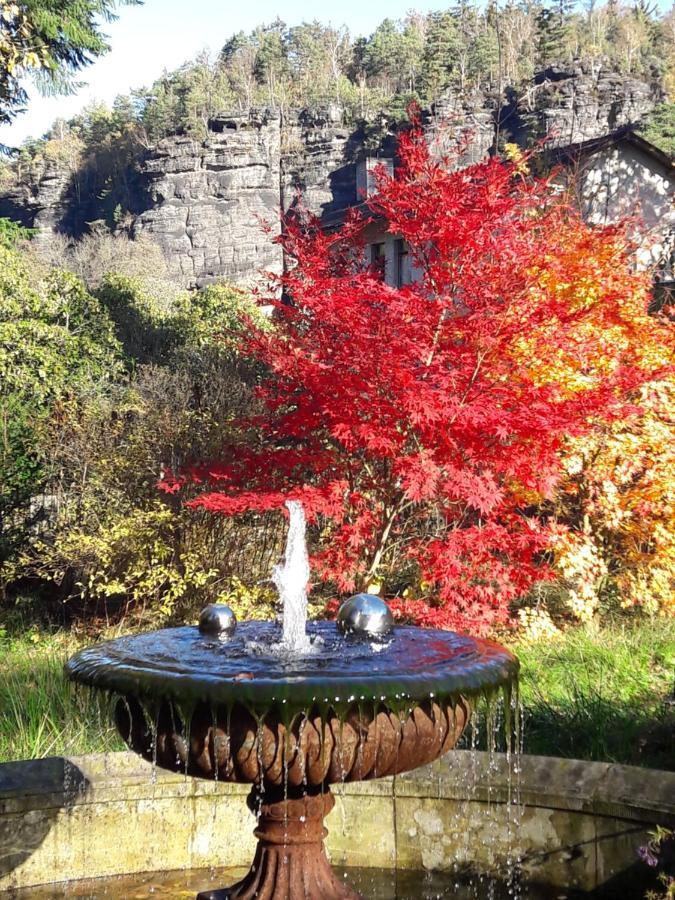 Rapunzel Trifft Dornroeschen Villa Rosenthal-Bielatal Exteriör bild