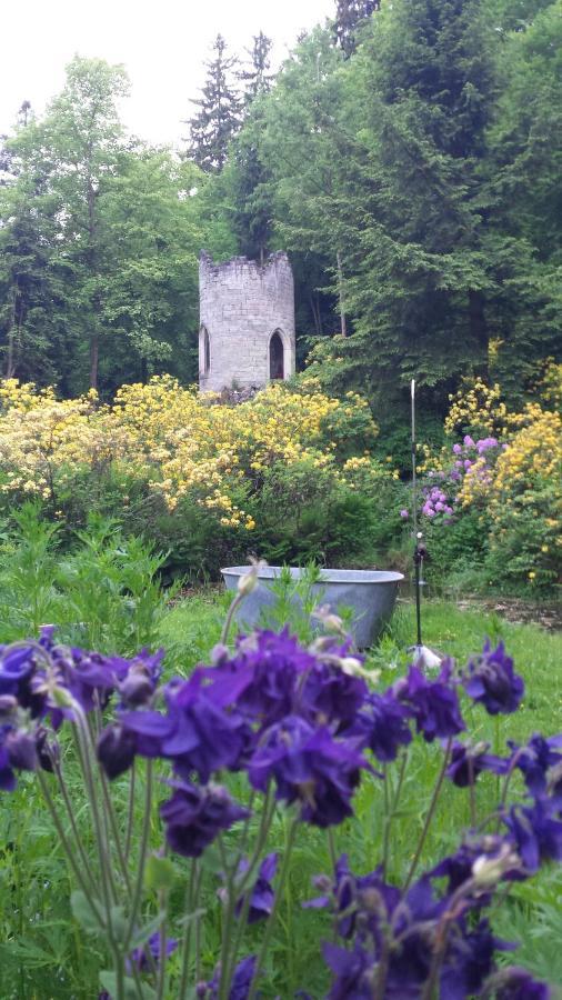 Rapunzel Trifft Dornroeschen Villa Rosenthal-Bielatal Exteriör bild