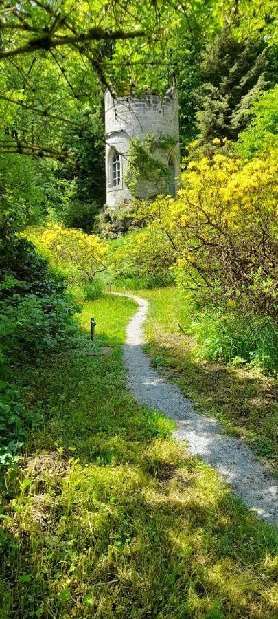 Rapunzel Trifft Dornroeschen Villa Rosenthal-Bielatal Exteriör bild