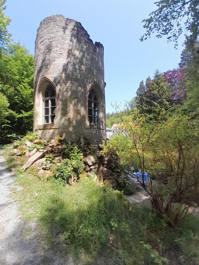 Rapunzel Trifft Dornroeschen Villa Rosenthal-Bielatal Exteriör bild