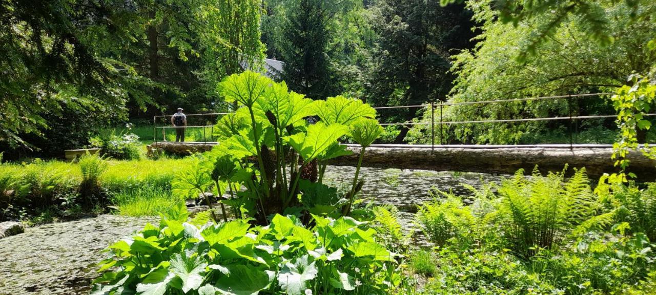 Rapunzel Trifft Dornroeschen Villa Rosenthal-Bielatal Exteriör bild