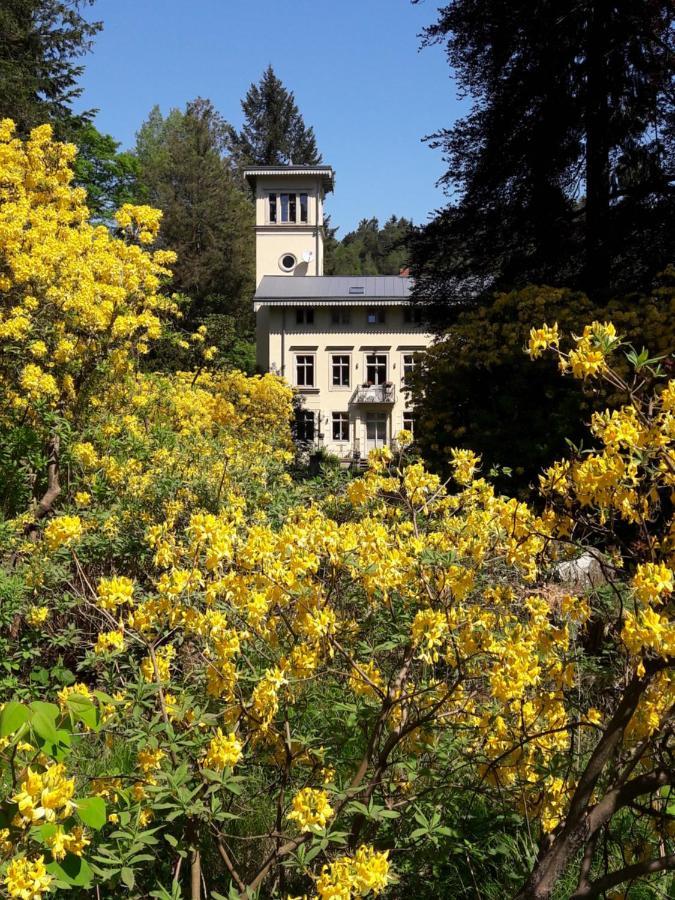Rapunzel Trifft Dornroeschen Villa Rosenthal-Bielatal Exteriör bild