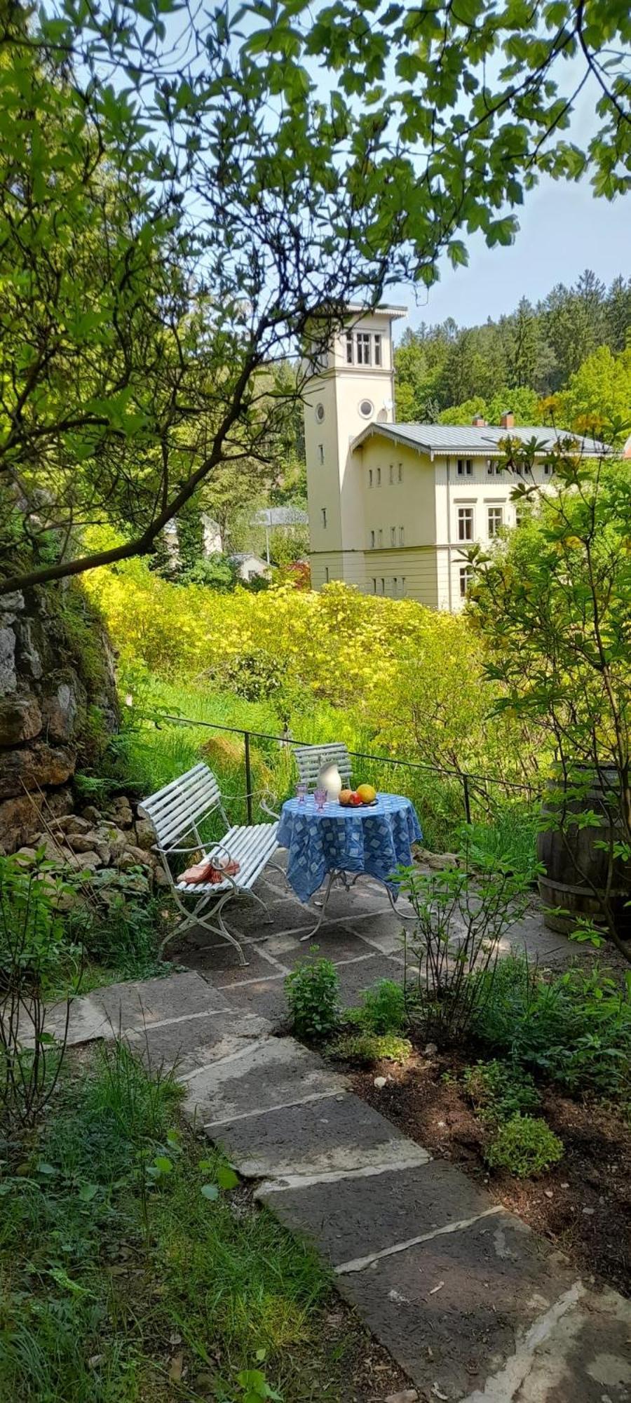 Rapunzel Trifft Dornroeschen Villa Rosenthal-Bielatal Exteriör bild